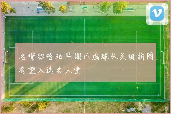 名嘴称哈珀早期已成球队关键拼图有望入选名人堂