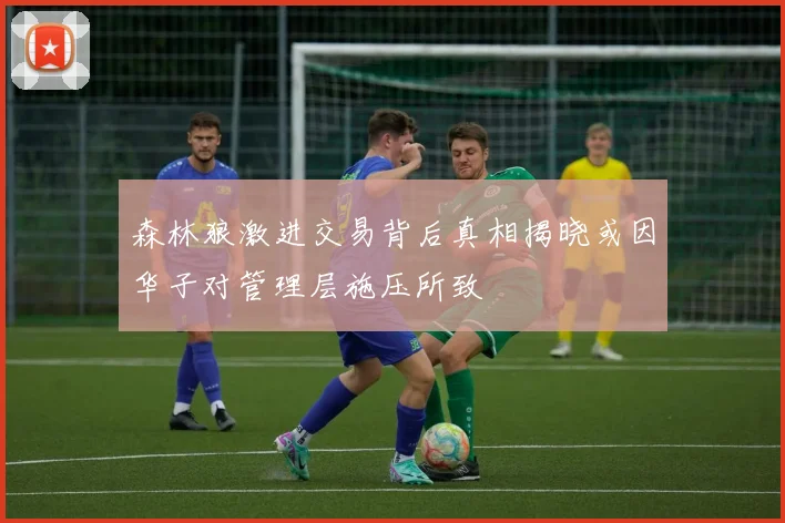 森林狼激进交易背后真相揭晓或因华子对管理层施压所致