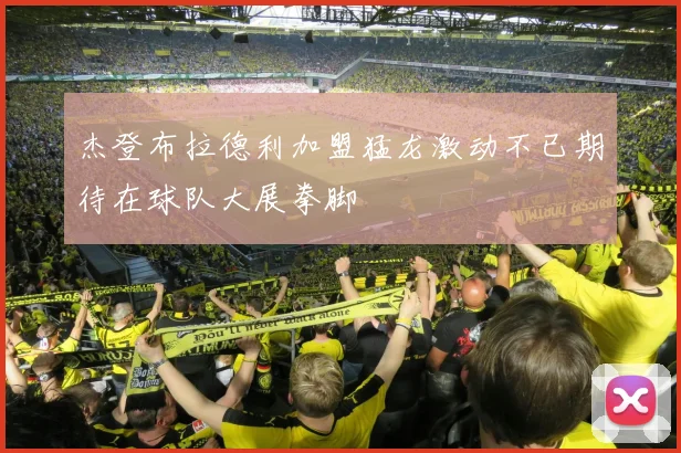 杰登布拉德利加盟猛龙激动不已期待在球队大展拳脚