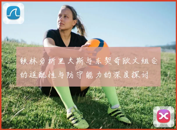 铁林分析里夫斯与东契奇欧文组合的适配性与防守能力的深度探讨